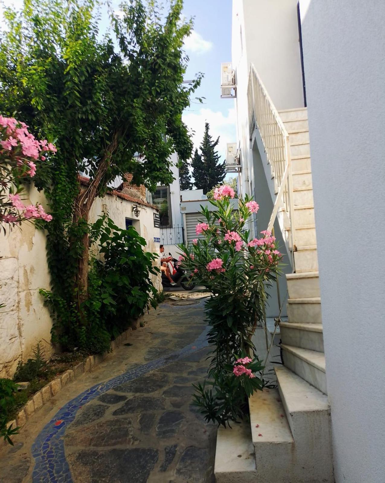 Kardelen Otel Bodrum ภายนอก รูปภาพ